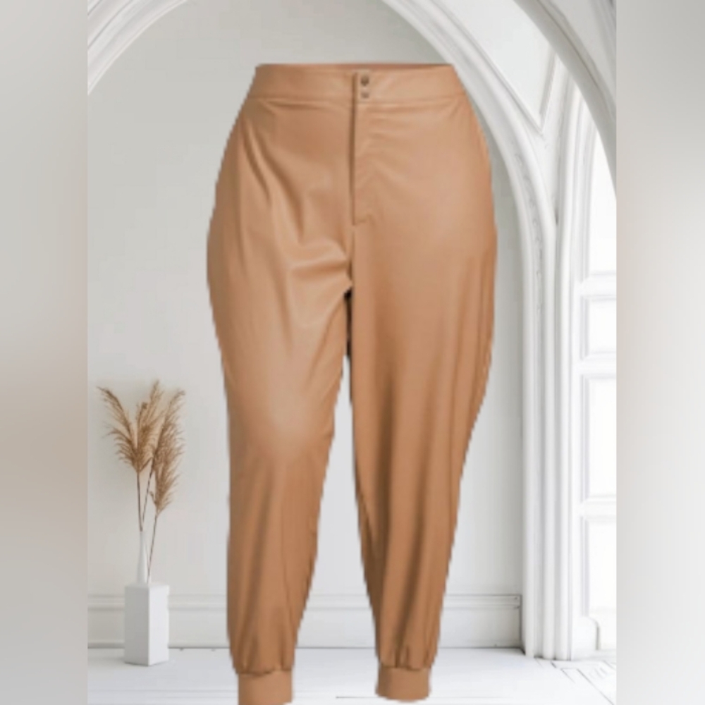 Sofia by Sofia Vergara Tan Joggers with Modern Tapered Design Plus Size 2 XL
